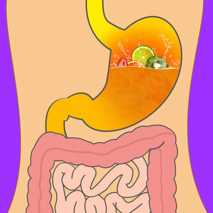 Yedikleriniz Midenizde Ne Kadar Sürede Sindiriliyor 5 meyve suyu
