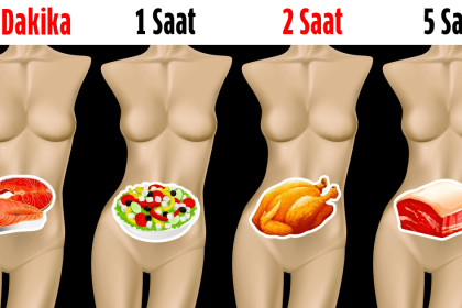 Yedikleriniz Midenizde Ne Kadar Sürede Sindiriliyor 22 sindirme