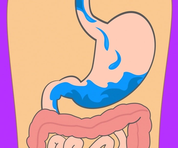 Yedikleriniz Midenizde Ne Kadar Sürede Sindiriliyor 4 su