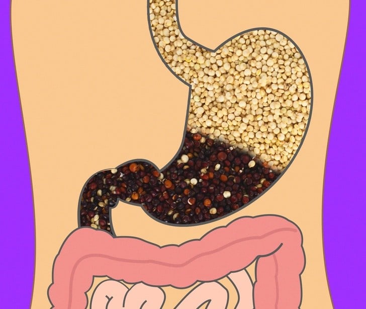 Yedikleriniz Midenizde Ne Kadar Sürede Sindiriliyor 11 tahıllar