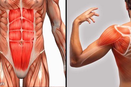 adele ağrısı nasıl geçer