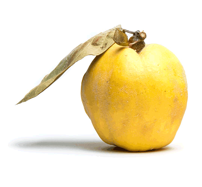 ayvanın faydaları nelerdir