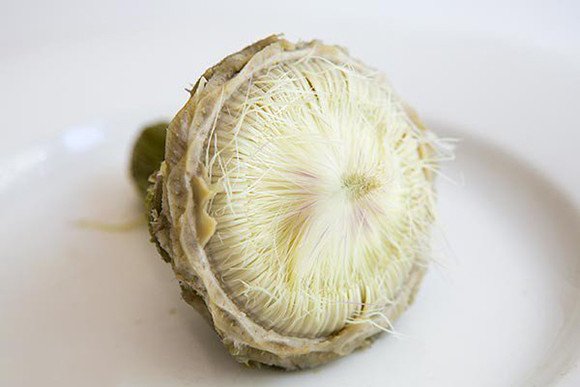 enginar hangi hastalıklara iyi gelir