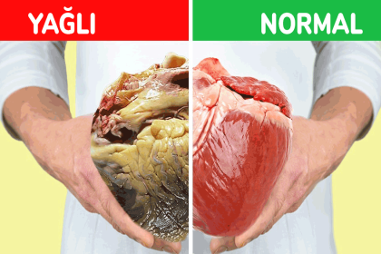 iç organ yağlanması