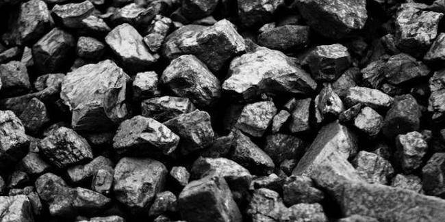 kömür sabunu faydaları