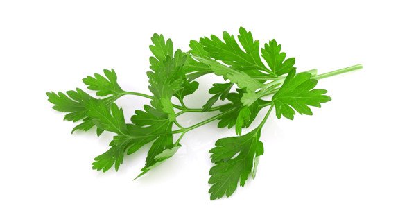 Maydanozun Faydaları Nelerdir? Organların Dostu, Yemeklerin Rengi 5 maydanoz