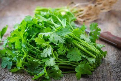 maydanozun faydaları