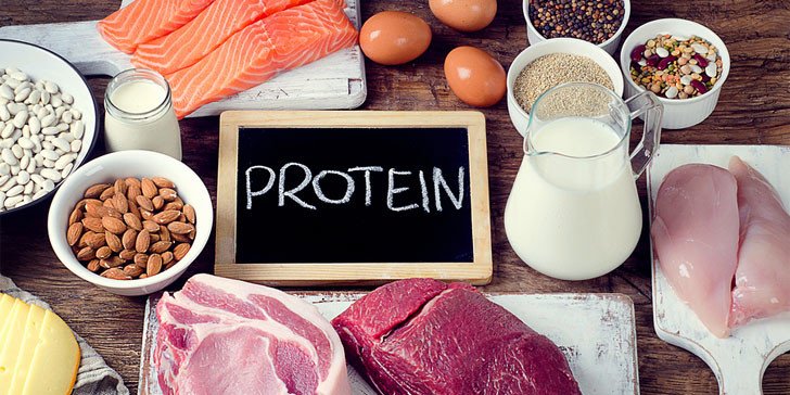 protein örnekleri