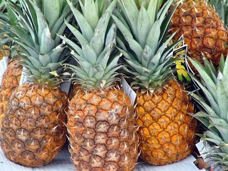 Ananasın Faydaları Nelerdir? Tropikal Meyvelerin Anası 5 soğuk algınlığından korur