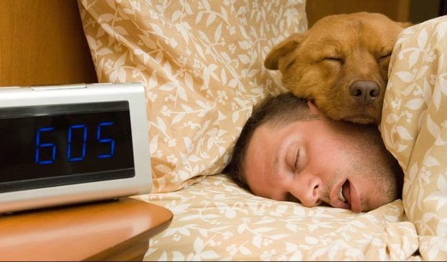 evcil hayvanıyla uyuyan adam