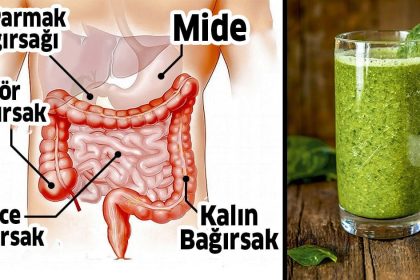 hastalıklar ve gıdalar