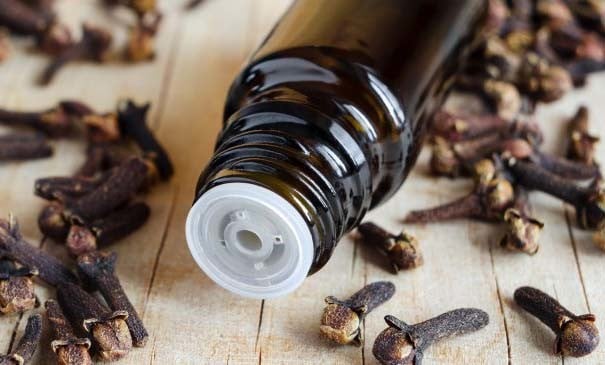 karanfil yağı