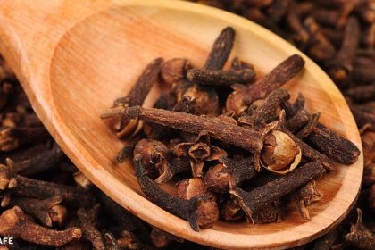 karanfilin faydaları