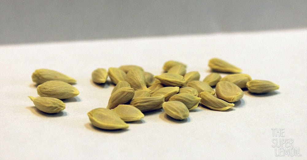 Adım Adım Evde Limon Ağacı Nasıl Yetiştirilir, Püf Noktaları 7 limon tohumları