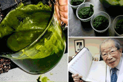 104 yaşındaki kanser uzmanı