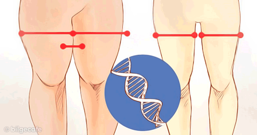 12 Dakikada Daha Fit Bacaklara Sahip Olun 16 bacaklarınızı inceltin