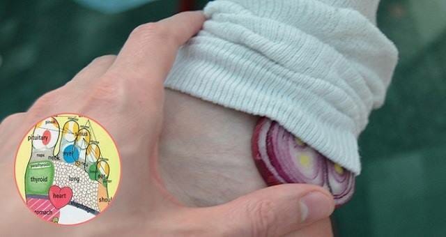 Soğanın 16 Tedavi Edici Kullanımı 6 sogan4