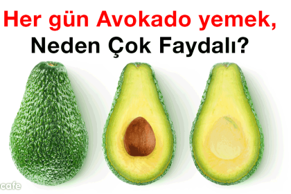 Neden Her gün Avokado Yemelisiniz? 24 avokado