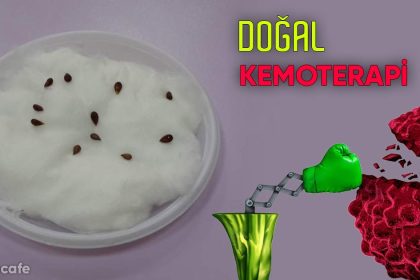 Doğal Kemoterapi Çekirdekleri Kanseri Engelliyor 22 doğal kemoterapi