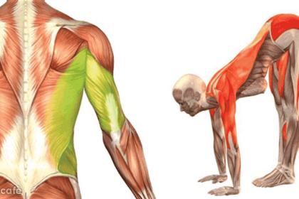 Her Sabah Bu Hareketleri Yapanlar Hastalık Nedir Bilmezler 8 her sabah bu hareketleri