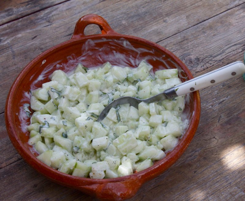 Salatalık Diyetiyle Fazla Kilolara Veda Edin 4 salatalik2