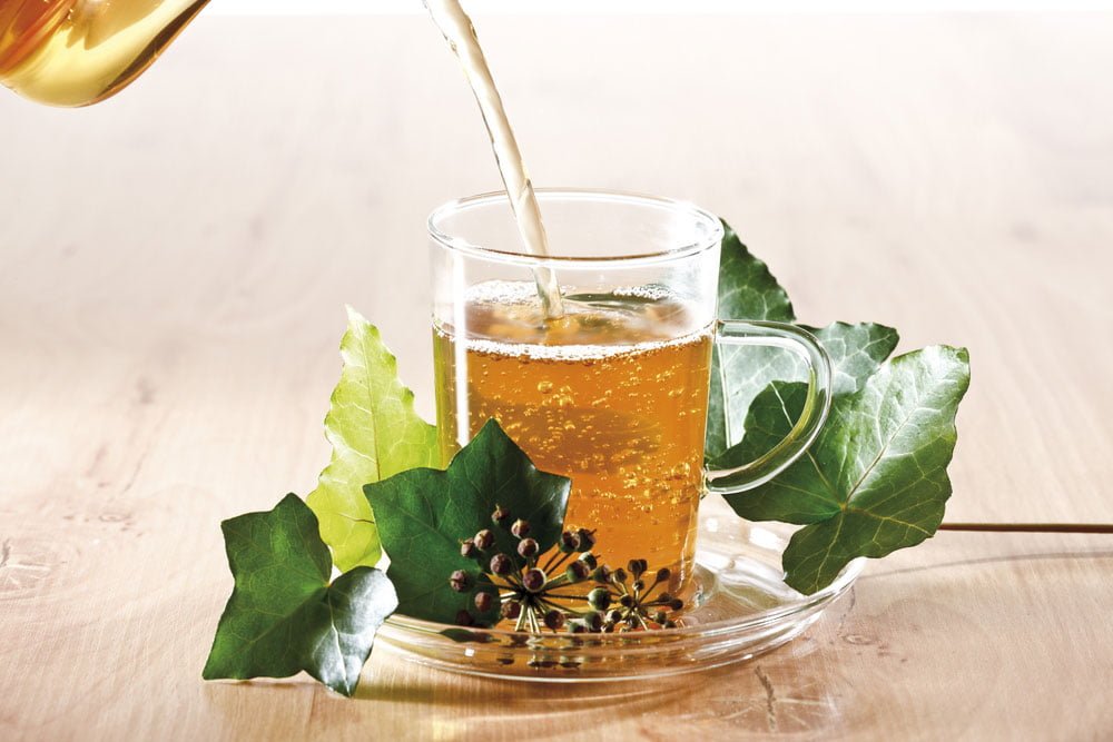 Duvar Sarmaşığı ile Öksürüğe, Bronşite ve Astıma Son! 4 sarmasik cay