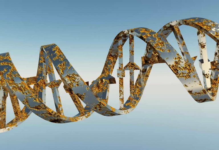 Sadece Kişniş Kullanarak Vücudunuzu Toksinlerden Arındırın 3 toksinler