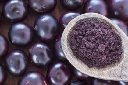 Kanserli Hücrelere Saldırıp Yok Ediyor 24 acai meyvesi