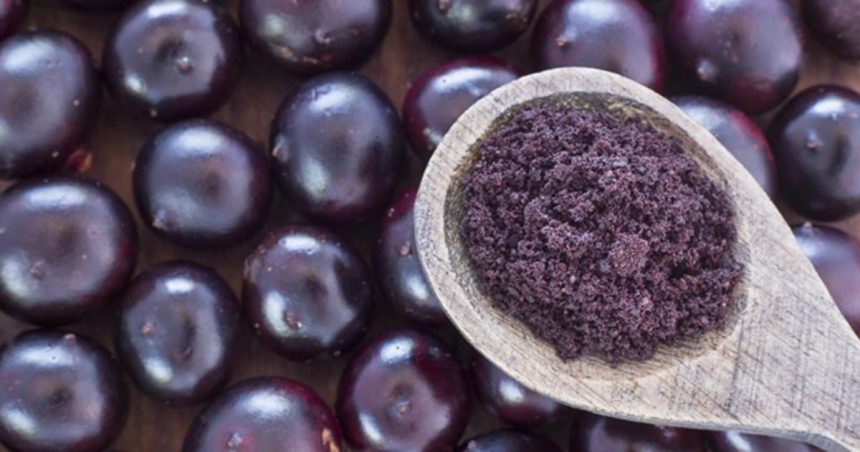 Kanserli Hücrelere Saldırıp Yok Ediyor 26 acai meyvesi