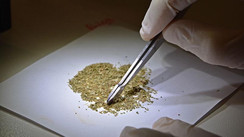 İçinde Bunların Olduğunu Bilmeden Her Gün İçiyoruz 2 biti cayi inceleme