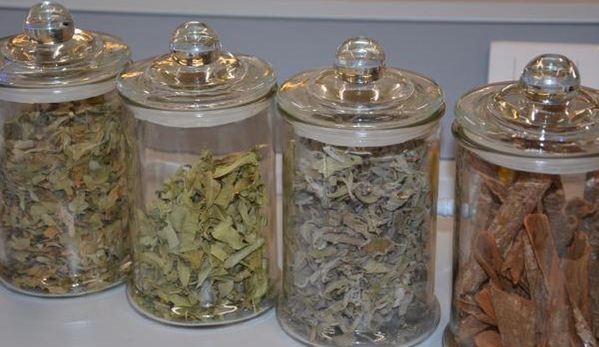 İçinde Bunların Olduğunu Bilmeden Her Gün İçiyoruz 4 bitkicaylari