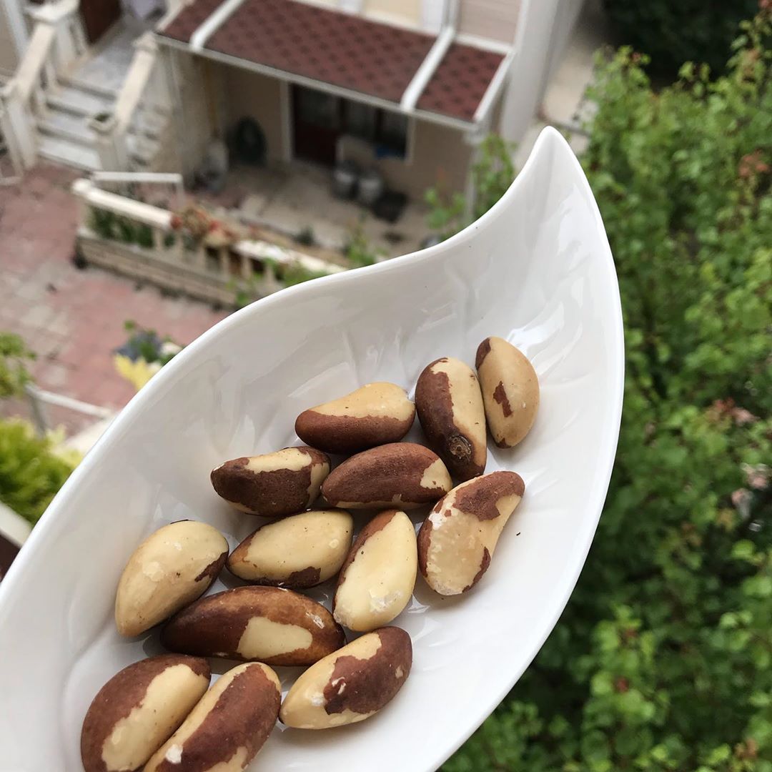 Saç Dökülmesine, Tırnak Kırılmasına ve Uykusuzluğa Ne İyi Gelir? 3 brezilya kestanesi