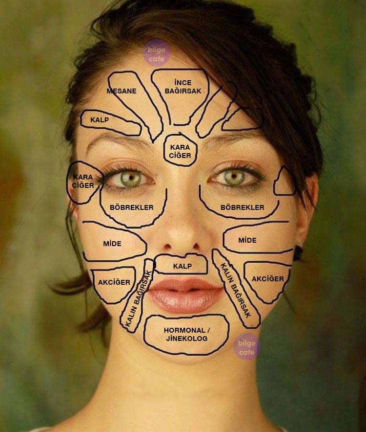 Yüzünüzden Vücudunuzun Hangi Bölgesi Hastalıklı Öğrenin 2 çin tıbbı yüz haritası hastalıkların teşhisi