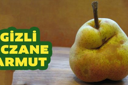 Armut'un Faydaları Nelerdir? Aklınıza Bile Gelmeyecek Faydaları Varmış 12 evimizdeki gizli eczane armut