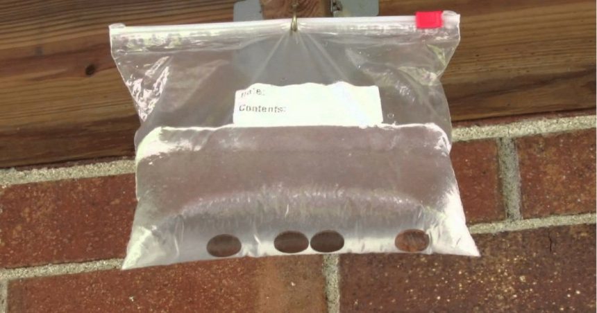 Ne Sinek Ne Böcek Evinizin Eşiğine Yaklaşamayacak 1 sinekleri kovma