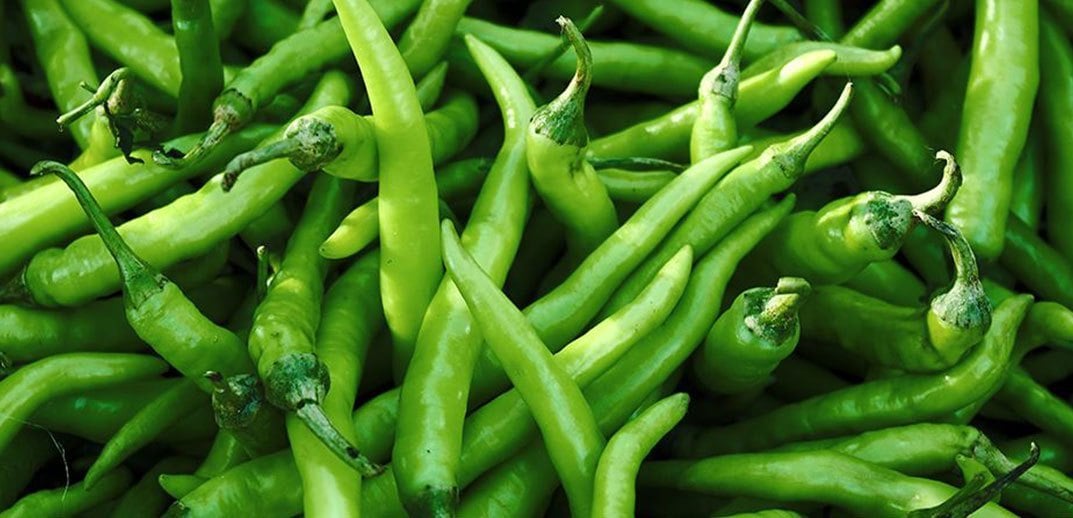 Sabah Kahvaltıda Taze Biber Yemenin Faydasını Bir Bilseydiniz 4 sivribiber