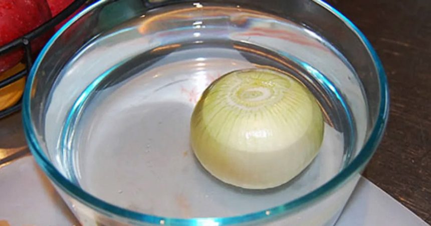 Soğan Suyu İle Nasıl Zayıflama ve Soğan Çorbası Tarifi 12 sogan suyu ile