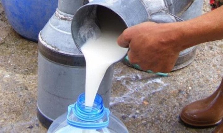 Açık Süt Mü Yoksa Kapalı Süt Mü Daha Sağlıklı? 3 acik sut2