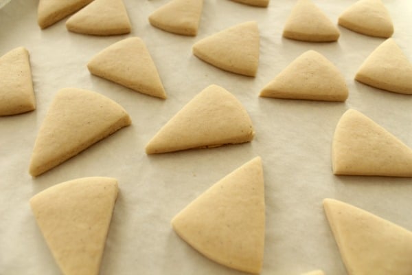 Balkabaklı Minik Pasta Tarifi Bilgecafe