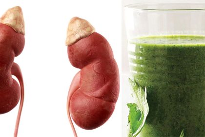 Böbrek Üstü Bezinin Sağlıksız Olduğunun Belirtileri ve Ne iyi Gelir? 6 bobrek ustu