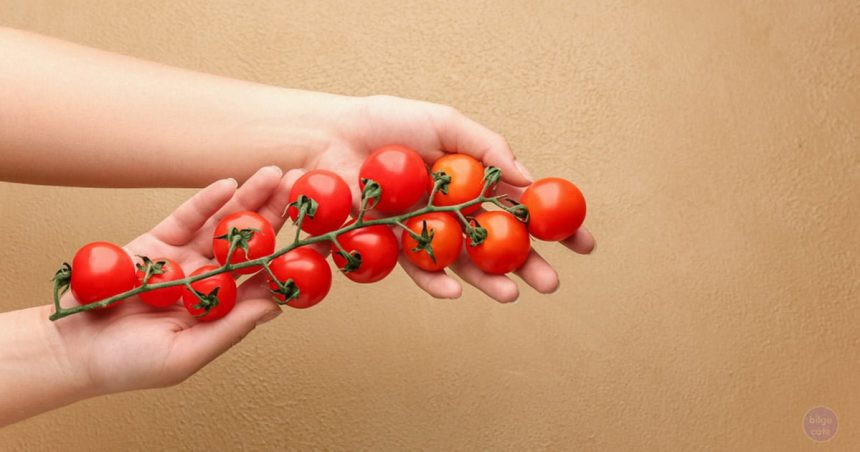 Bu Belirtiler Sizde Varsa Domates Yemeye Ara Verin 1 domates tuketmek zararli olabilir