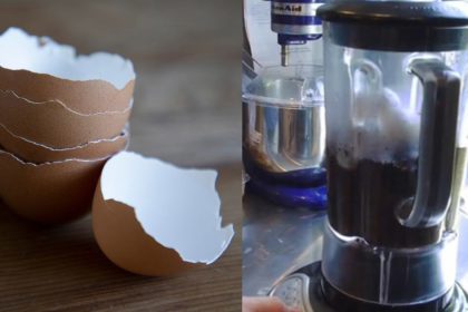 Emekli Bahçıvan Anlattı: Solmuş Çiçekleri Böyle Canlandırabilirsiniz 24 kahve telvesi ve yumurta kabuğu