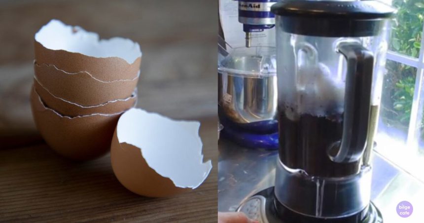 Emekli Bahçıvan Anlattı: Solmuş Çiçekleri Böyle Canlandırabilirsiniz 1 kahve telvesi ve yumurta kabuğu