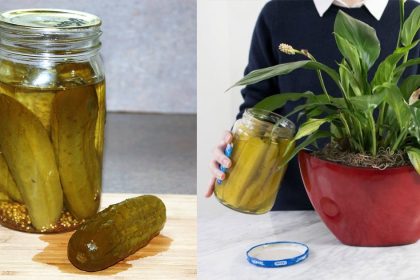 Turşu Suyu ile Yapabileceğiniz 10 Farklı Şey 2 tursu suyuyla neler yapilir