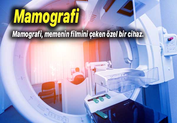 Mamografi