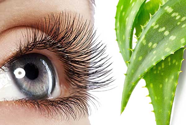 Bir Daha Takma Kirpik Kullanmaya Gerek Duymayacaksınız 5 Aloe Vera tedavisi