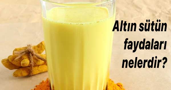 Beyni ve Karaciğeri Koruyan Daha Etkili Bir Karışım Yok 2 altın sütün faydaları nelerdir