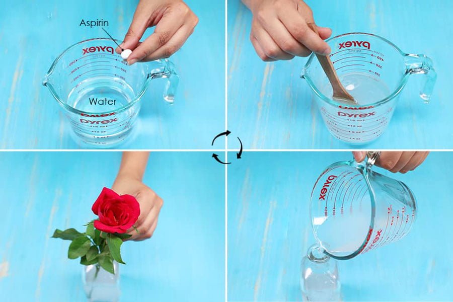 Ацетилсалициловая кислота вода. Аспирин для цветов в вазу. Аспирин для цветов срезанных в вазу. Розы любят холодную воду и.