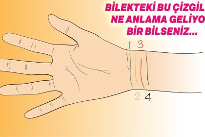 Bileklerde Bulunan Bu Çizgiler Size Her Şeyinizi Söylüyor 12 bilektekicizgiler