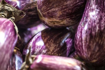 Saplarını Hep Attık Meğer İyi Geldiği Kadar Çok Hastalık Var ki 16 cop diye attik ama faydalari saymakla bitmiyor